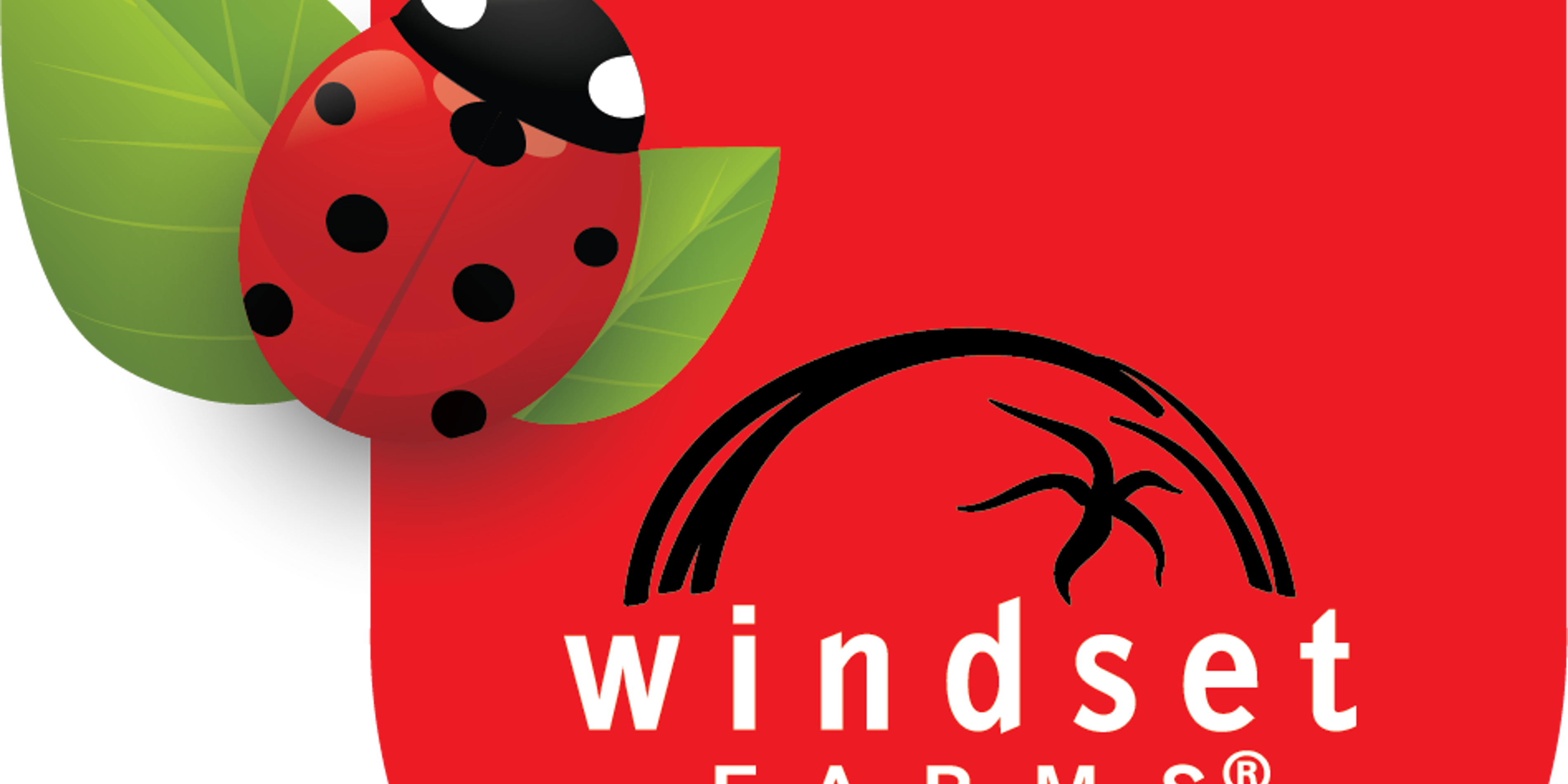 Windset Farms logo