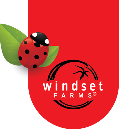 Windset Farms logo